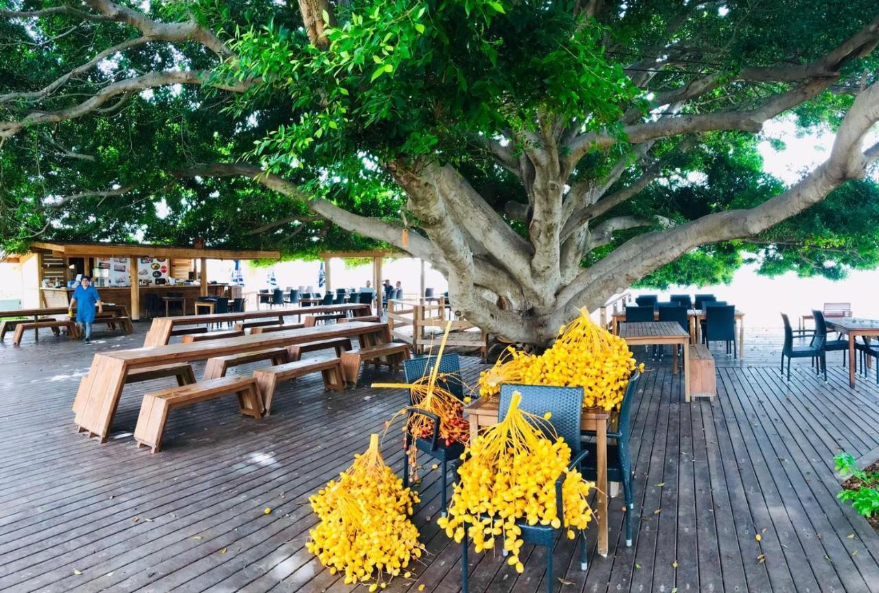 Marvel Tree Hotel Bozyazi Exterior foto