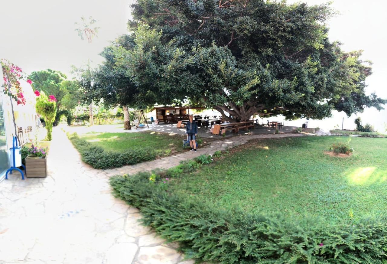 Marvel Tree Hotel Bozyazi Exterior foto