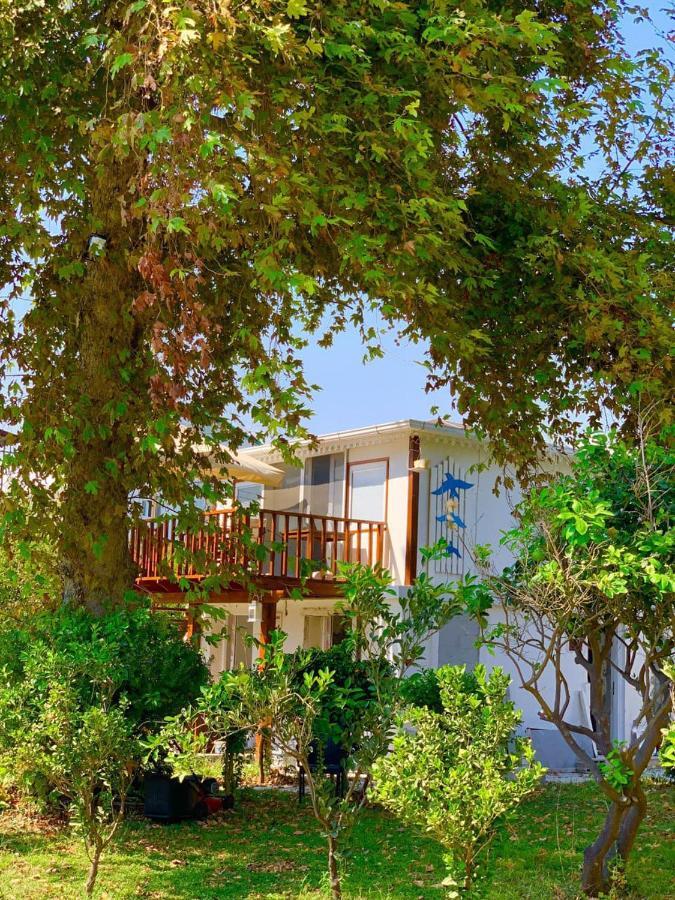 Marvel Tree Hotel Bozyazi Exterior foto
