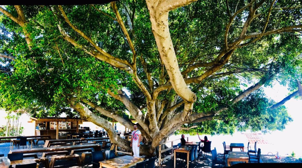 Marvel Tree Hotel Bozyazi Exterior foto