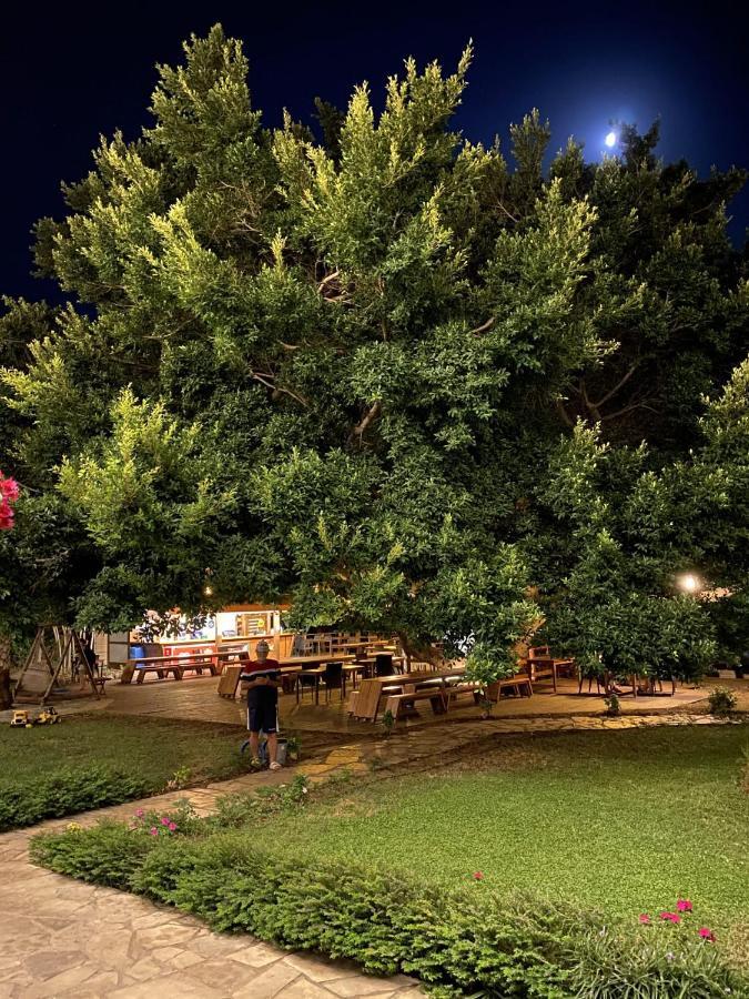 Marvel Tree Hotel Bozyazi Exterior foto