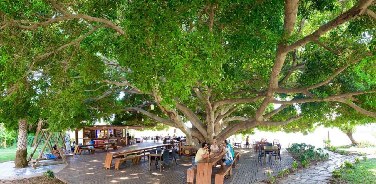 Marvel Tree Hotel Bozyazi Exterior foto